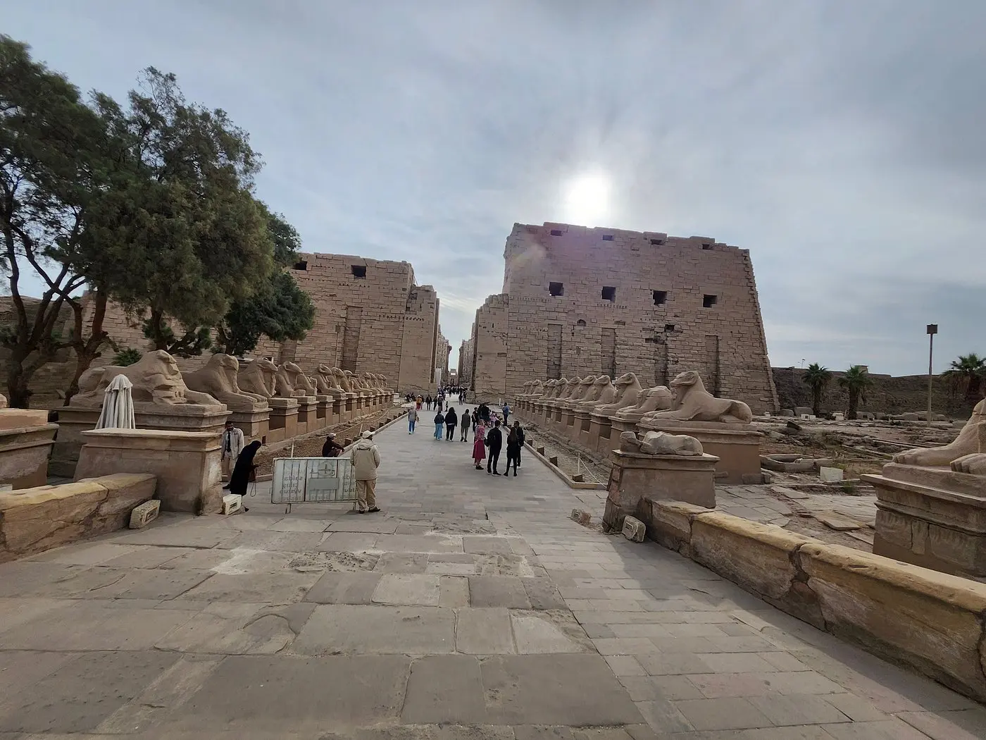 Full Day Tour to Luxor from Sharm El Sheikh by Plane